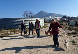 Dog Walkers