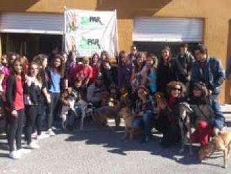 GPAR :: Grupo de Protección Animal de Rute