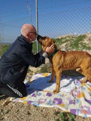 GPAR :: Grupo de Protección Animal de Rute