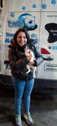 GPAR :: Grupo de Protección Animal de Rute
