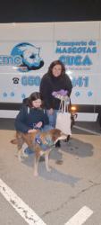 GPAR :: Grupo de Protección Animal de Rute