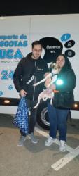 GPAR :: Grupo de Protección Animal de Rute