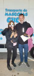 GPAR :: Grupo de Protección Animal de Rute