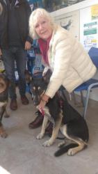 GPAR :: Grupo de Protección Animal de Rute