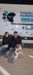 GPAR :: Grupo de Protección Animal de Rute