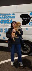GPAR :: Grupo de Protección Animal de Rute
