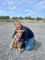 GPAR :: Grupo de Protección Animal de Rute