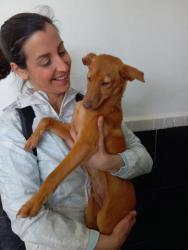 GPAR :: Grupo de Protección Animal de Rute
