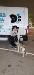 GPAR :: Grupo de Protección Animal de Rute