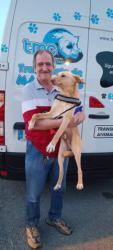 GPAR :: Grupo de Protección Animal de Rute