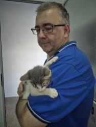 GPAR :: Grupo de Protección Animal de Rute