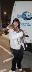 GPAR :: Grupo de Protección Animal de Rute