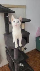 GPAR :: Grupo de Protección Animal de Rute