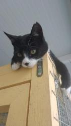 GPAR :: Grupo de Protección Animal de Rute