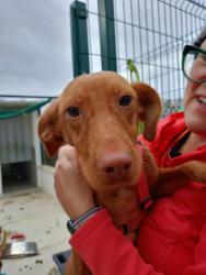 GPAR :: Grupo de Protección Animal de Rute