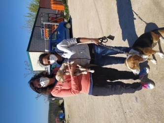 GPAR :: Grupo de Protección Animal de Rute
