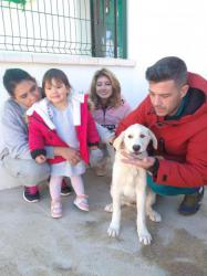 GPAR :: Grupo de Protección Animal de Rute