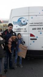 GPAR :: Grupo de Protección Animal de Rute