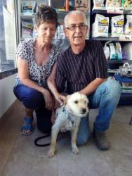 GPAR :: Grupo de Protección Animal de Rute
