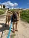 GPAR :: Grupo de Protección Animal de Rute