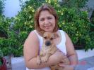 GPAR :: Grupo de Protección Animal de Rute