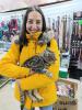GPAR :: Grupo de Protección Animal de Rute