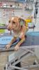 GPAR :: Grupo de Protección Animal de Rute