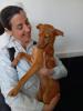 GPAR :: Grupo de Protección Animal de Rute