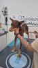 GPAR :: Grupo de Protección Animal de Rute