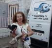 GPAR :: Grupo de Protección Animal de Rute