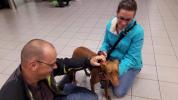 GPAR :: Grupo de Protección Animal de Rute