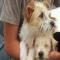 GPAR :: Grupo de Protección Animal de Rute