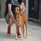 GPAR :: Grupo de Protección Animal de Rute