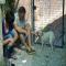 GPAR :: Grupo de Protección Animal de Rute