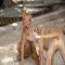 GPAR :: Grupo de Protección Animal de Rute