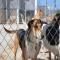 GPAR :: Grupo de Protección Animal de Rute