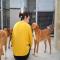 GPAR :: Grupo de Protección Animal de Rute