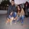 GPAR :: Grupo de Protección Animal de Rute