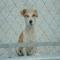 GPAR :: Grupo de Protección Animal de Rute