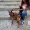GPAR :: Grupo de Protección Animal de Rute