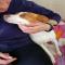 GPAR :: Grupo de Protección Animal de Rute