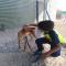 GPAR :: Grupo de Protección Animal de Rute