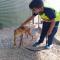 GPAR :: Grupo de Protección Animal de Rute