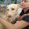 GPAR :: Grupo de Protección Animal de Rute