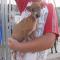 GPAR :: Grupo de Protección Animal de Rute