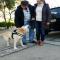 GPAR :: Grupo de Protección Animal de Rute