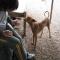 GPAR :: Grupo de Protección Animal de Rute