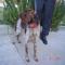 GPAR :: Grupo de Protección Animal de Rute
